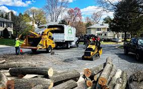 Best Lawn Drainage Solutions  in Leisure Village East, NJ