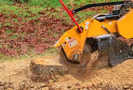 Best Tree Removal  in Leisure Village East, NJ