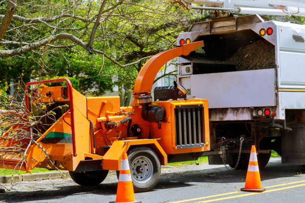  Leisure Village East, NJ Tree Removal Pros