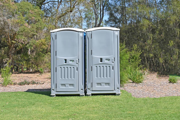Best Pest Control for Lawns  in Leisure Village East, NJ