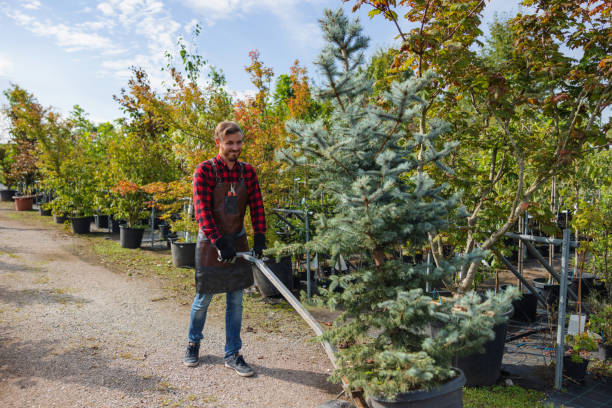 Best Lawn Maintenance Plans  in Leisure Village East, NJ
